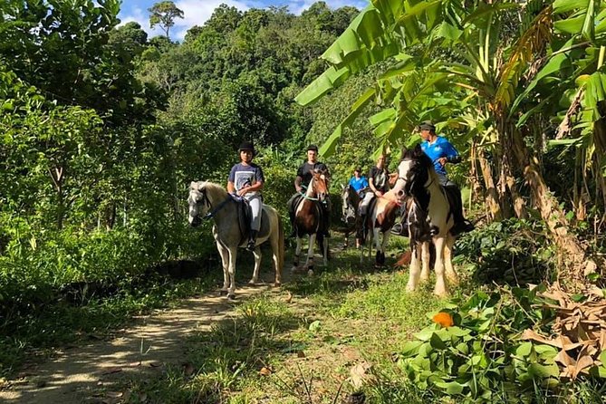 Horseback Riding 1 hour trail - Who This Ride Is Best For (And Who Should Skip)