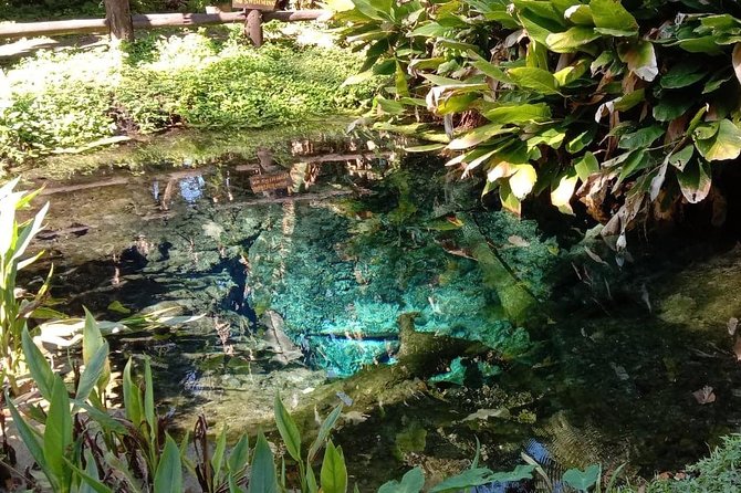 Hot! Doisuthep Temple+Wat Palad+Sticky waterfall - Wat Pha Lat: the forest temple stop you’ll be glad is short