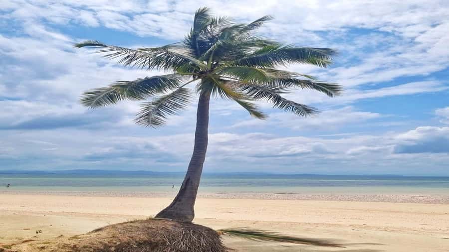 Hua Hin: Koh Talu Snorkeling with Lunch for 2 or More People - Pickup Points, the Van Ride, and Meeting Koh Talu