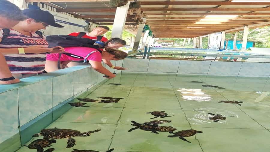 HUA HIN : Koh Talu Snorkeling with Lunch (Private 4 pax up) - Why Koh Talu Snorkeling From Hua Hin Makes Sense