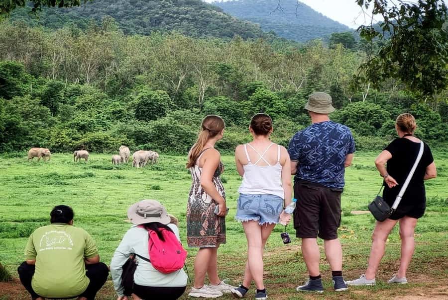 Hua Hin: Kui Buri Wild Elephant Watching Tour - Dinner at Tor Saeb E-lee: a real reset, not an afterthought