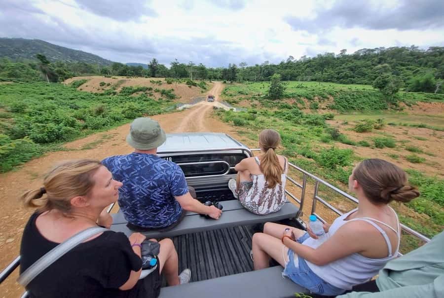 Hua Hin: Kui Buri Wild Elephant Watching Tour - Transport comfort and group flow: how to make the day work