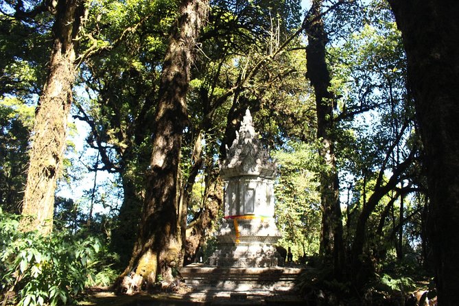 Inthanon Day Trip from Chiang Mai with Lunch - Group or Private - Ang Ka Nature Trail: short walk, cool air, and easy effort