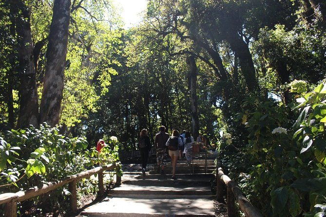 Inthanon Day Trip from Chiang Mai with Lunch - Group or Private - Twin pagodas and their gardens: where the pace slows down on purpose