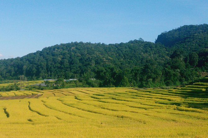 Inthanon Day Trip from Chiang Mai with Lunch - Group or Private - Start right: pickup, meeting point, and how the day gets rolling