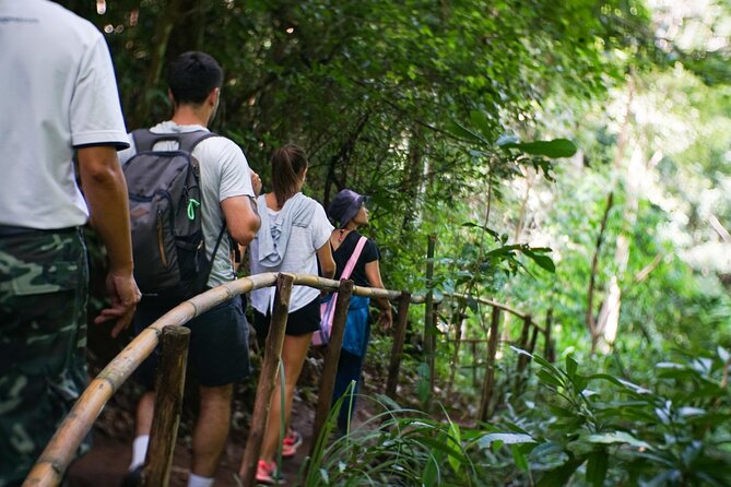 Inthanon National Park Tour with Soft Hike at Pha Dok Siew Trail - Inthanon National Park in a single day: what feels different