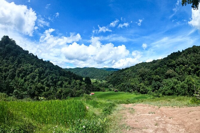 Inthanon National Park Tour with Soft Hike at Pha Dok Siew Trail - Pha Dok Siew Natural Trail: the 2-hour soft hike with plant and rice context