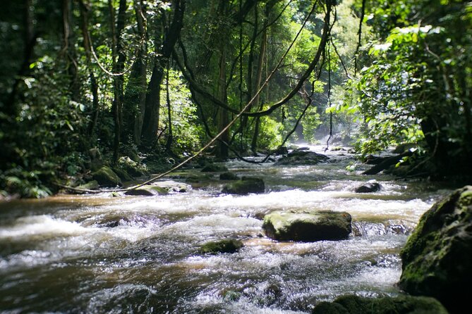 Inthanon National Park Tour with Soft Hike at Pha Dok Siew Trail - Ang Ka Nature Trail: a short rainforest taste