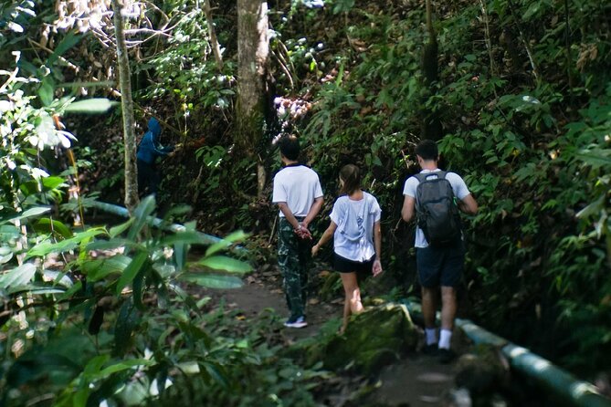 Inthanon National Park Tour with Soft Hike at Pha Dok Siew Trail - Pagodas at Inthanon: Phra Maha Dhatu Naphamethinidon & royal birthday symbolism