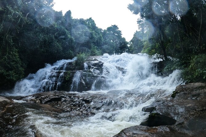 Inthanon National Park Tour with Soft Hike at Pha Dok Siew Trail - Royal Agricultural Station lunch: the practical break you’ll be grateful for