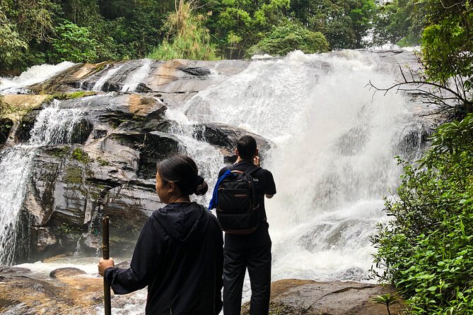 Inthanon National Park Tour with Soft Hike at Pha Dok Siew Trail - Getting picked up and keeping your day on track