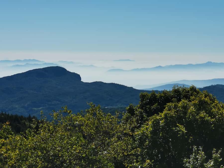 Inthanon national park, Trekking and Sightseeing in one day. - Who this one-day Inthanon plan fits best (and who should skip)
