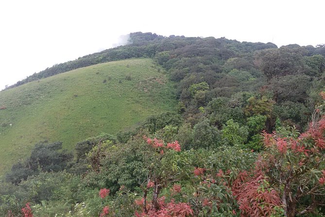 Inthanon Small-Group with Kew Mae Pan Trail from Chiang Mai include Lunch - A Full-Day Doi Inthanon Plan That Feels Practical