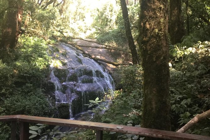 Inthanon Small-Group with Kew Mae Pan Trail from Chiang Mai include Lunch - Kew Mae Pan Nature Trail: Three Forest Types in a 3 km Walk
