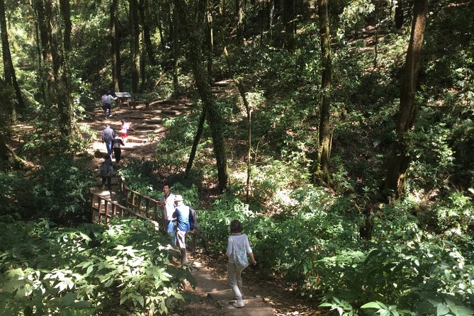 Inthanon Small-Group with Kew Mae Pan Trail from Chiang Mai include Lunch - Wachirathan Waterfall: Your First Big Nature Hit