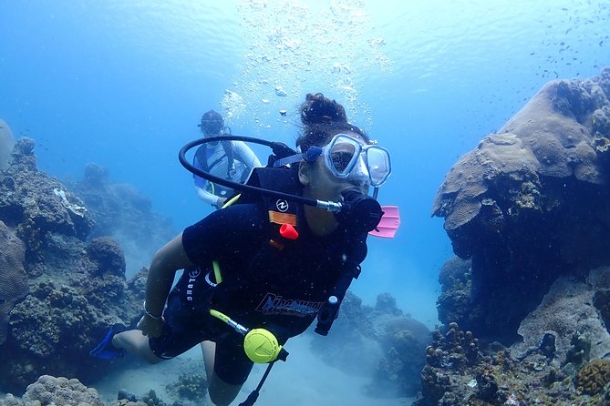 Introductory dive for non-certified divers - Key highlights worth knowing before you go
