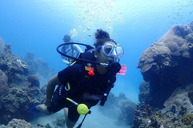 Introductory dive for non-certified divers - Seeing fish and keeping it comfortable: the real comfort factors