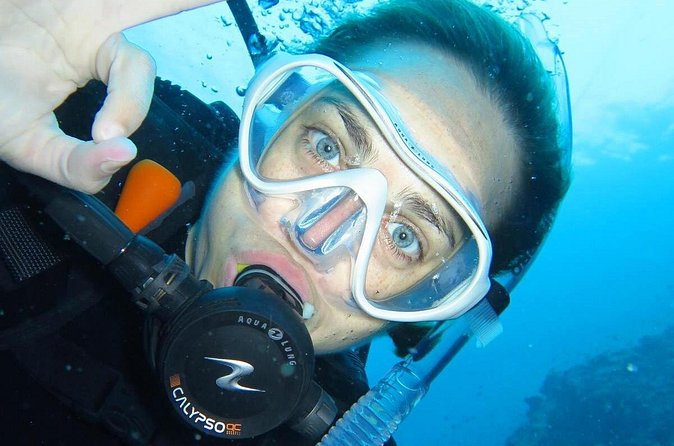 Introductory dive for non-certified divers - Gear, photos, and lunch: the included value that usually gets overlooked