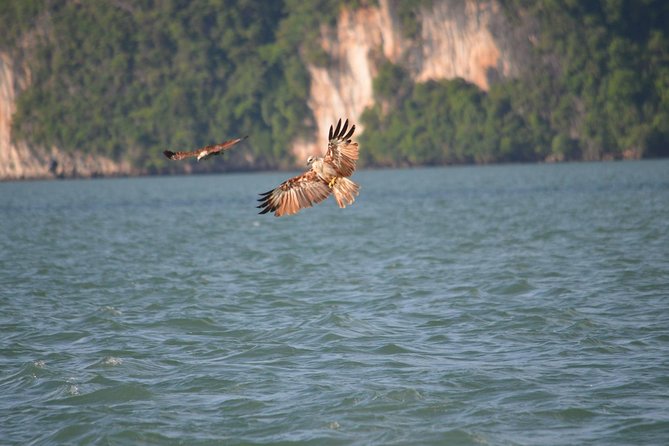 John Gray's Adventure Hong by Starlight in Phang Nga Bay - Gear included: kayak equipment, dry bag, and what that changes for first-timers