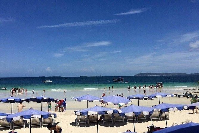 Join Half Day Coral Island with Indian Lunch - Transfers and guide support: the part that keeps your day low-stress