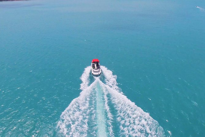 Join Half Day Coral Island with Indian Lunch - The 6–7 hour flow from Pattaya to Koh Larn