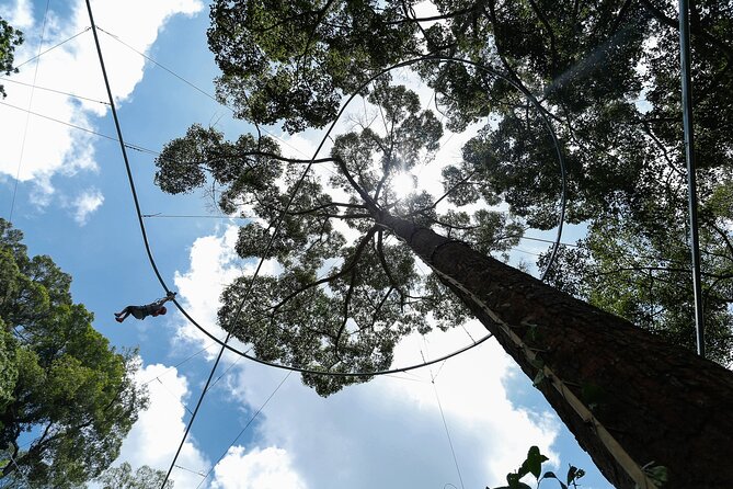 Jungle Flight Zipline Adventure From Chiang Mai - Treetop circuits: climbing up to 34 platforms and flying 22 times