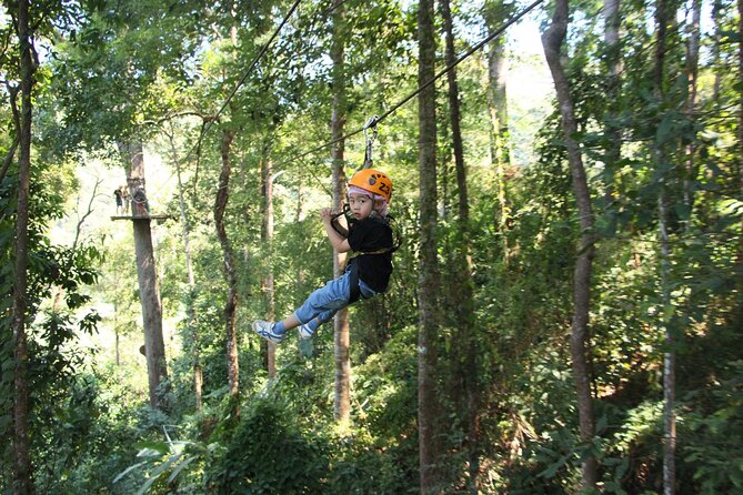 Jungle Flight Zipline Adventure From Chiang Mai - Sky Walk among ancient trees: the calm counterpoint that makes it feel real