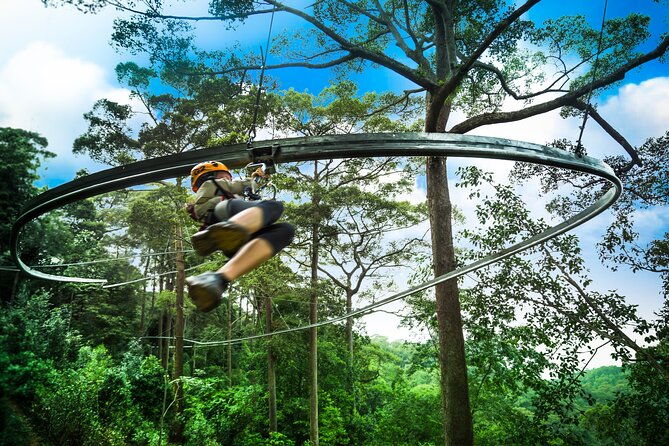 Jungle Flight Zipline Roller Coaster - Jungle Flight at a Glance: the big wins and what to plan for