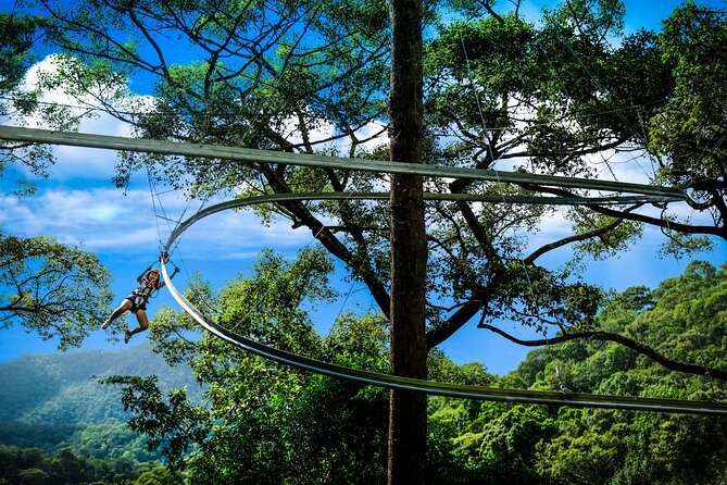 Jungle Flight Zipline Roller Coaster - Price and Logistics: what $91.27 buys you (and why it’s not just thrills)