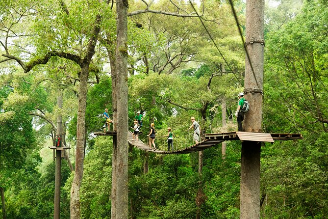 Jungle Flight Zipline Roller Coaster - Gear-Up and Safety: how the guides keep the day fun and controlled