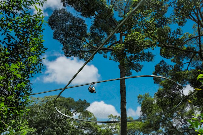 Jungle Flight Zipline Roller Coaster - Photos and Memories: how to get the best keepsakes