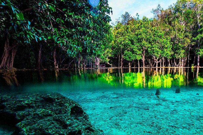 Jungle Tour to Emerald Pool, Krabi Hot Spring and Tiger Cave Temple - Pickup, small-group size, and why 7 hours can feel long