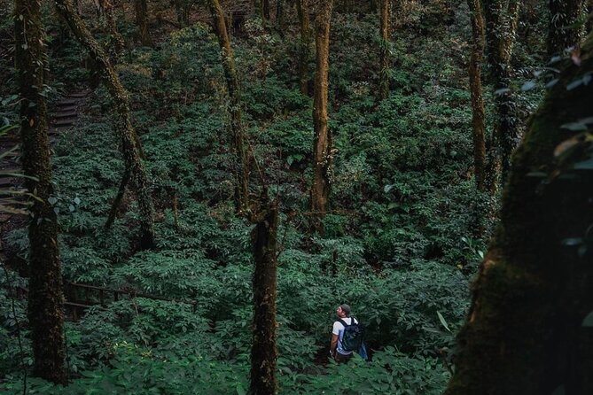 Jungle Wisdom Survival Trek - Day 2 in Mae Wang National Park: Karen Village Life and Bamboo Rafting