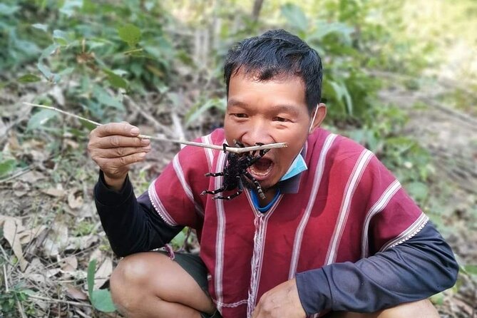 Jungle Wisdom Survival Trek - What You’ll Learn (And How It Helps Beyond the Trip)