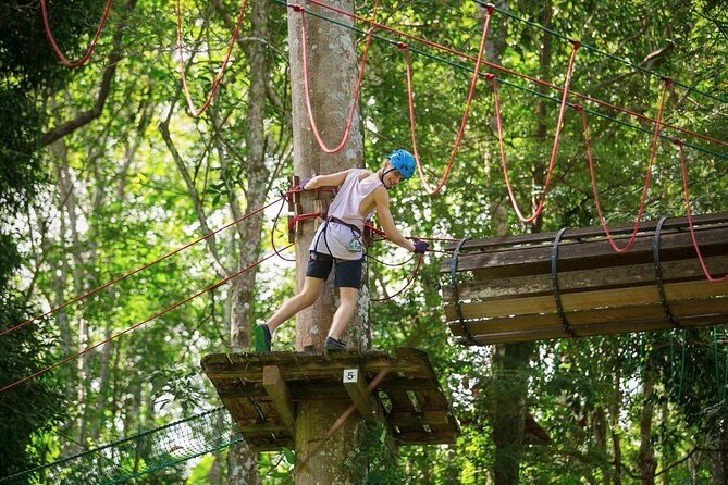 Jungle Xtreme Adventures and Zipline - The canopy course: platforms, walkways, rope bridges, nets, and ziplines