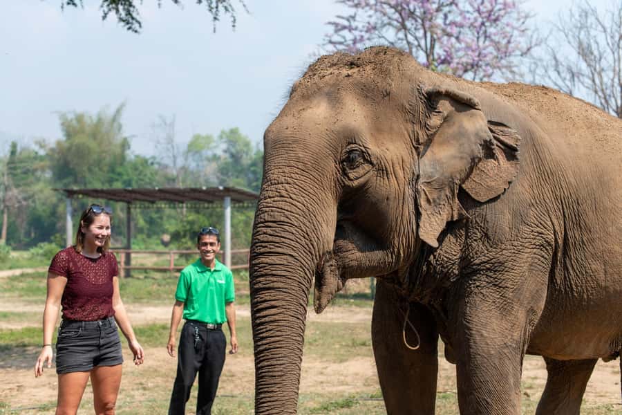 Kanchanaburi: Elephant Sanctuary & Erawan Waterfall Tour - Kanchanaburi to Erawan: the 12-hour flow that keeps it smooth