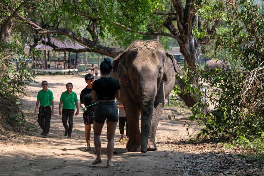 Kanchanaburi: Elephant Sanctuary & Erawan Waterfall Tour - Price and value: what $185 actually buys you