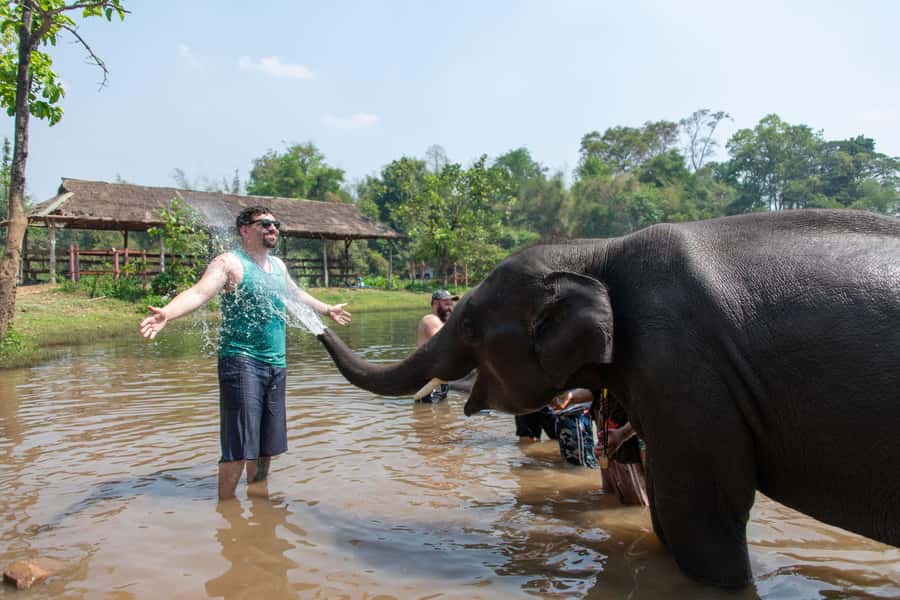 Kanchanaburi: Elephant Sanctuary & Erawan Waterfall Tour - Who should take this tour, and who should skip it