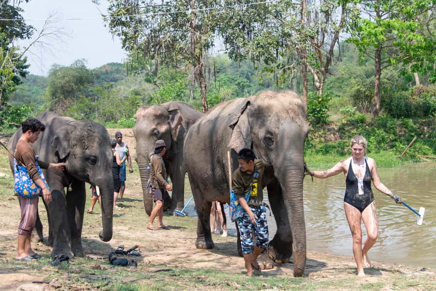 Kanchanaburi: Elephant Sanctuary & Erawan Waterfall Tour - FAQ