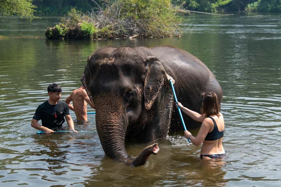 Kanchanaburi: Elephant Sanctuary & Erawan Waterfall Tour - Elephants World: safety first, then feeding and a real mud bath