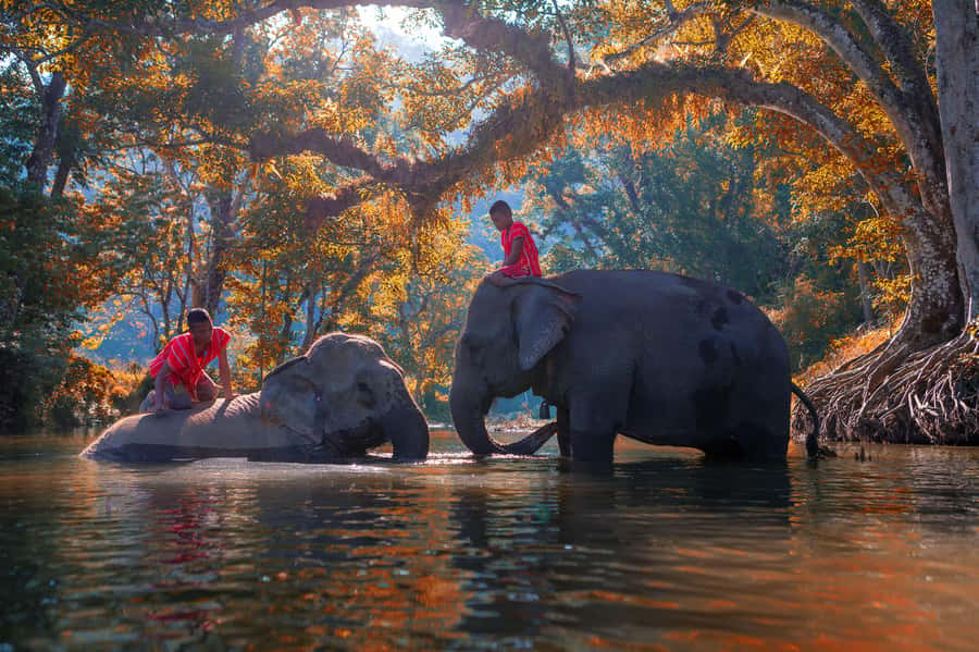 Kanchanaburi Private Charter from Bangkok | Thailand - The Value of a Private Day Trip From Bangkok (And Why 12 Hours Matters)