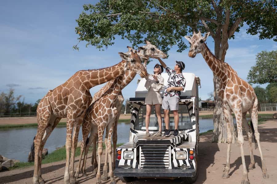 Kanchanaburi Private Charter from Bangkok | Thailand - Driver, Language, and the Reality of Communication