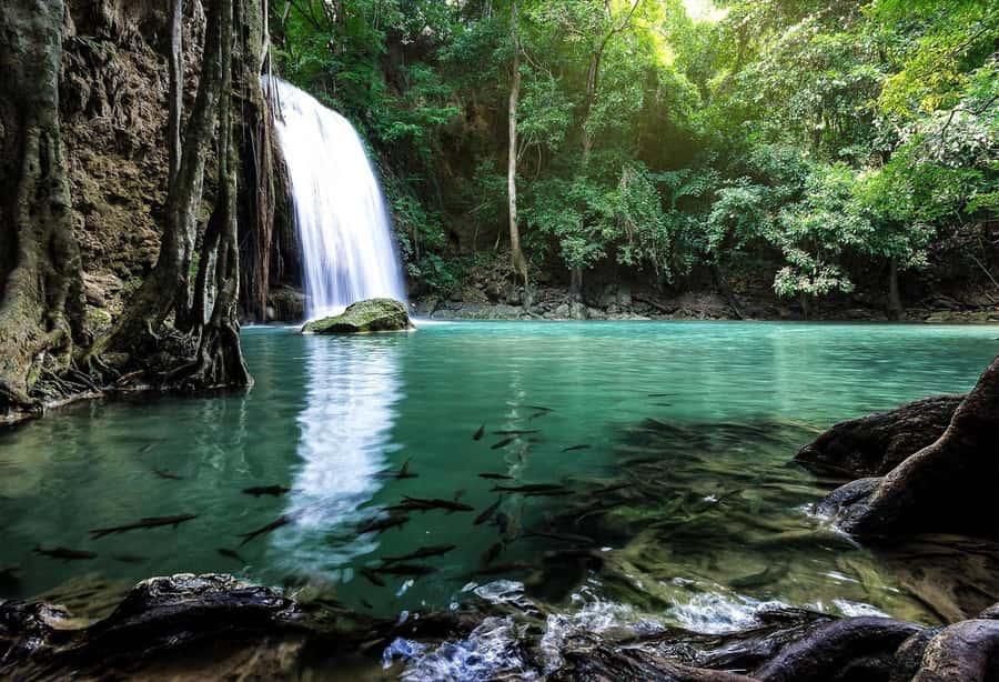 Kanchanaburi : Private River Kwai Bridge & Erawan Waterfall - Reaching level 7: the climb that turns a visit into a mission