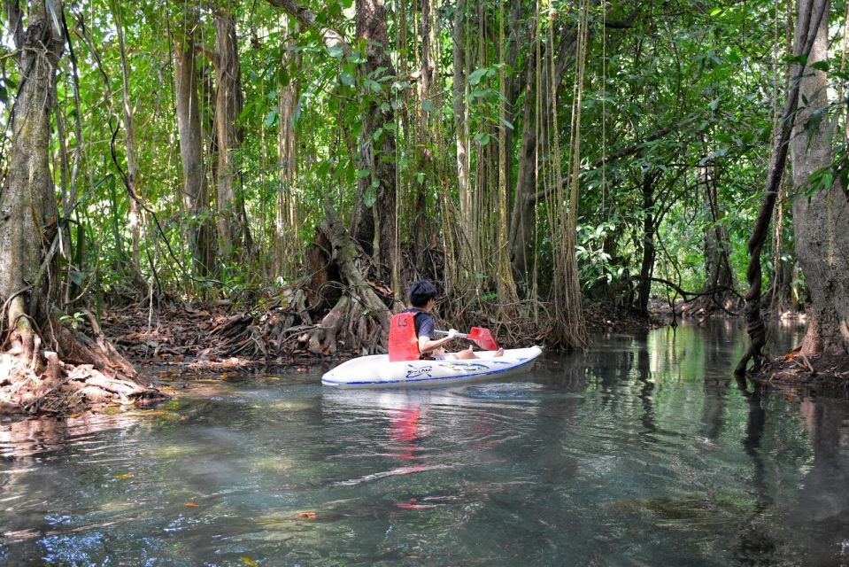 Kayaking and swiming klongrood - The rainforest kayak route: what you’re paddling through