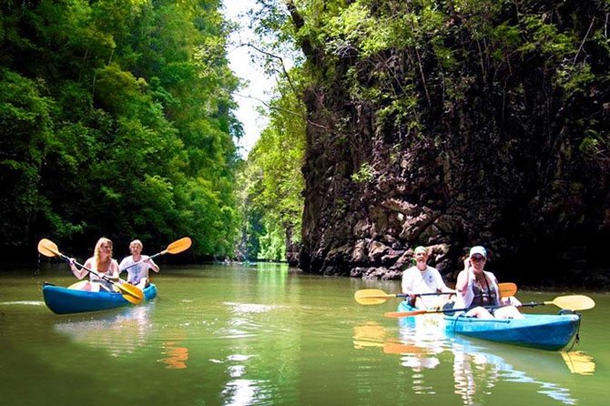 Kayaking at Ao Thalane Krabi - Wildlife and Ecosystem: What You’ll Actually Learn While You Paddle