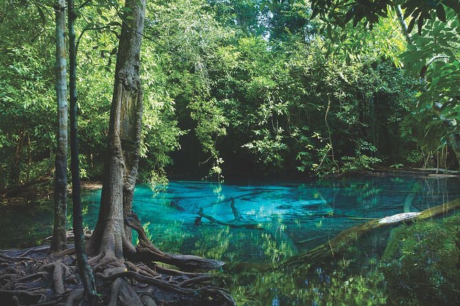 Kayaking in Ao Thalane - Discover the Mangrove life - Ao Thalane instead of beach time: mangroves with wildlife and silence