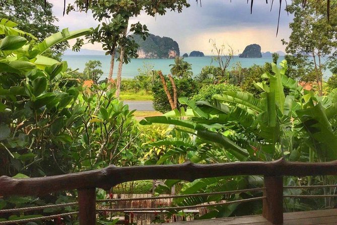 Kayaking in Ao Thalane - Discover the Mangrove life - Price and value: what $194.69 covers in Krabi