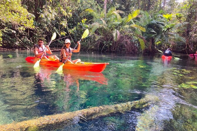 Kayaking Klongroot-Klongnamsai - Khlong Nam Sai’s spring lagoon: what you’re really paying for