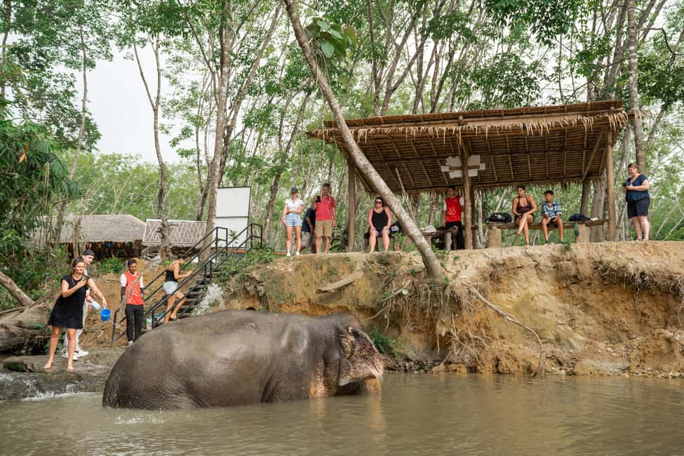 Khao Lak: 1-Hour Elephant Sanctuary Eco-Journey with Shuttle - Feeding time: the basket moment you’ll remember