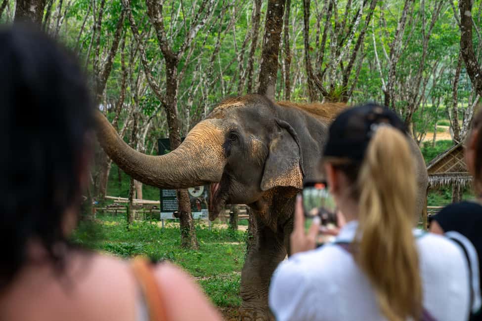 Khao Lak: 1-Hour Elephant Sanctuary Eco-Journey with Shuttle - Unlimited photos: how to get good shots without stressing